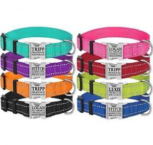Pets Market ציוד לכלבים Reflective Dog Collar Safety Personalized Nylon Collars for Dogs Puppy S M L