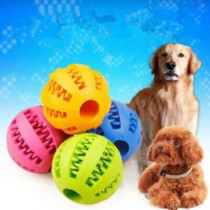 Pets Market צעצועים Pet Dental Ball Puppy Dog Gum Bite Chew Teeth Clean Healthy Treat Dispensing